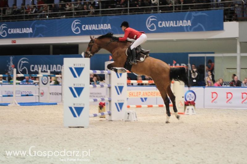 CAVALIADA 2013 w Poznaniu