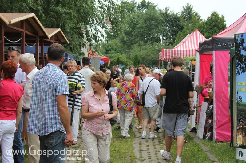 VIII Święto Gęsi w Biskupcu