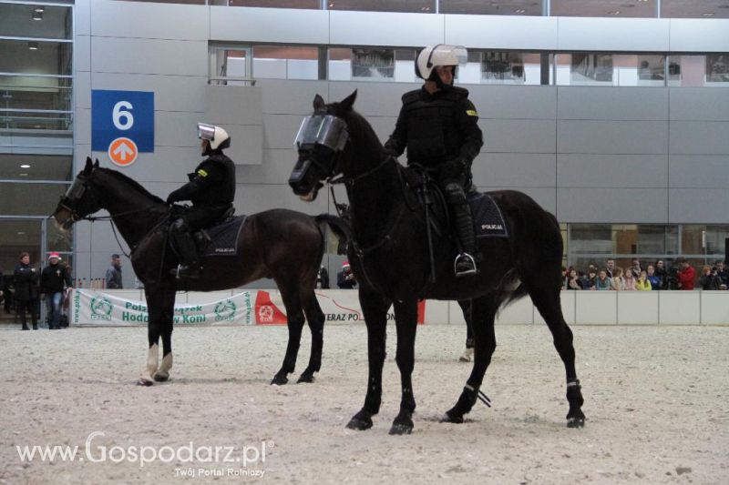 CAVALIADA 2013 w Poznaniu