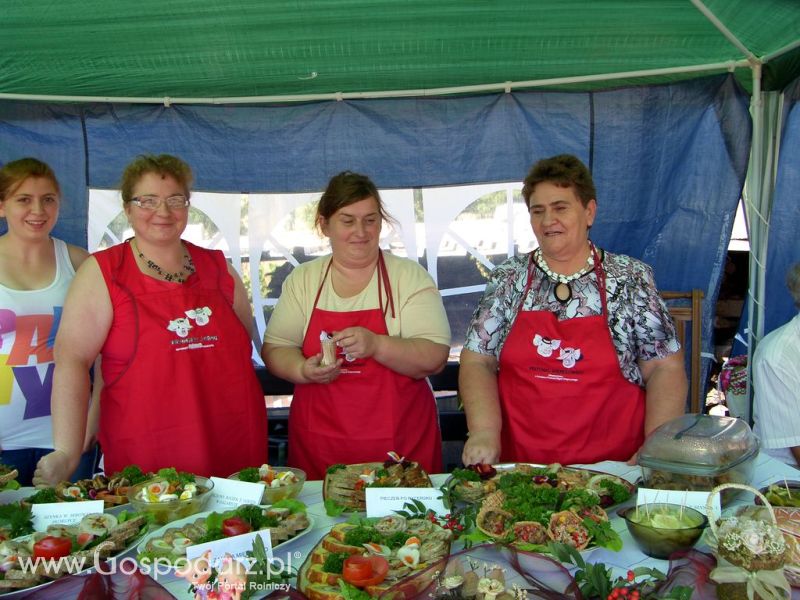 Festiwal Wieprzowiny Targowisko Dolne k/Lubawy 2012