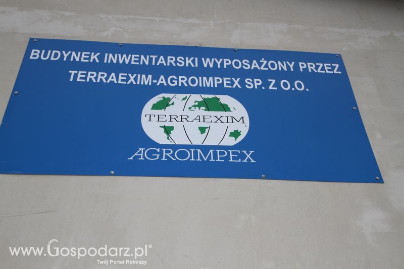Chlewnia z systemem karmienia na mokro