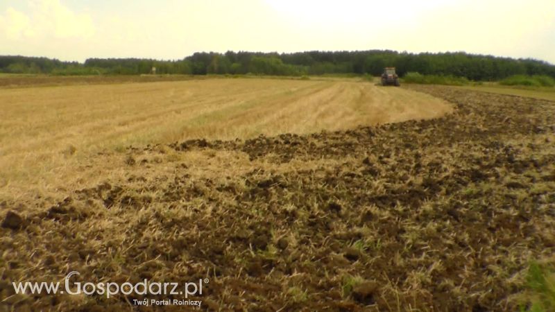 Talerzowane 2013 