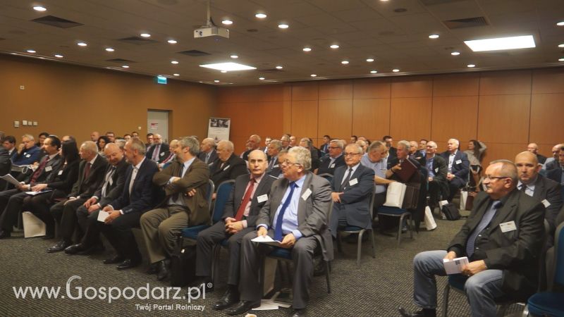 Rola dużych gospodarstw rolnych w sektorze rolno-spożywczym