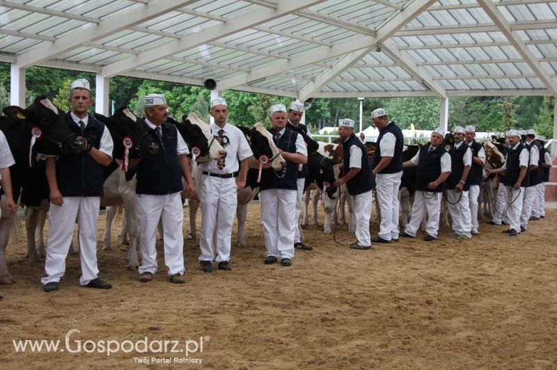 Prezentacja Championów na VII Ogólnopolskiej Wystawie Bydła Hodowlanego w Sielinku 2012