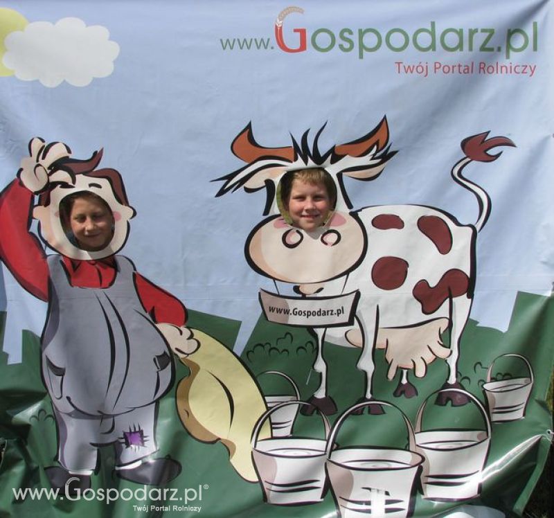 Wielkopolskie Targi Rolnicze „Sielinko 2011”  - Krówka Gospodarza