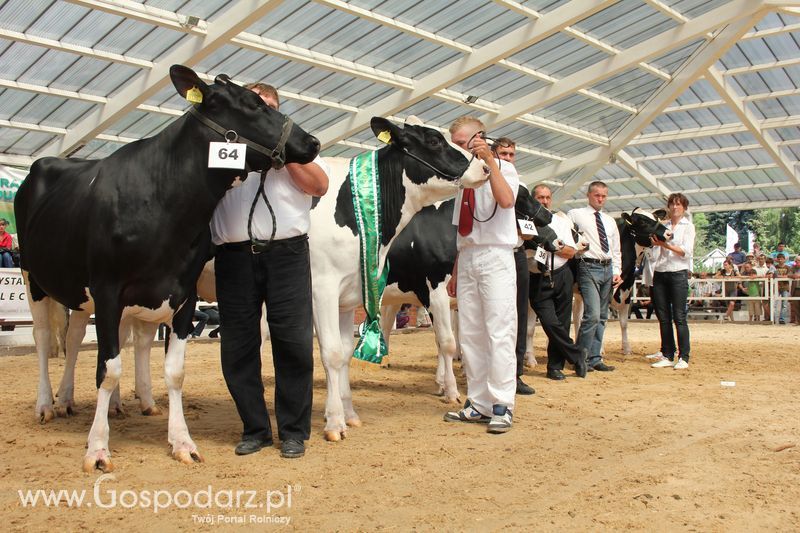 Czempioni XVII Regionalnej Wystawy Zwierząt Hodowlanych Sielinko 2011