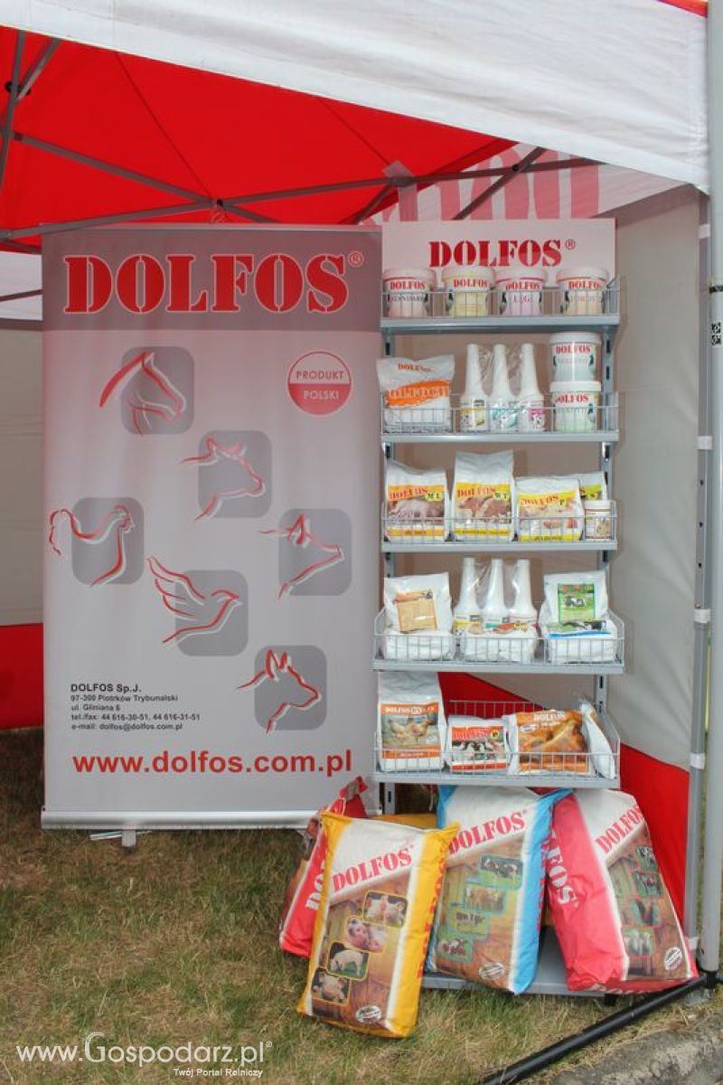 Wielkopolskie Targi Rolnicze „Sielinko 2011”  - Sobota