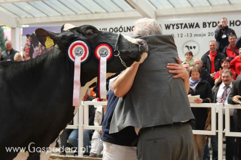 Championi VII Ogólnopolskiej Wystawy Bydła Hodowlanego - Sielinko 2012