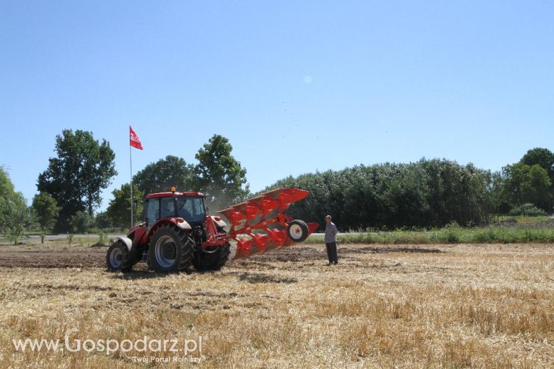 Zetor Family Tractor Show 2013 - Opatów