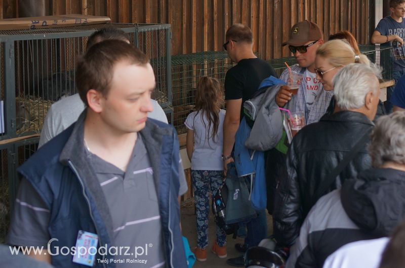 XXII Żuławskie Targi Rolne w Starym Polu