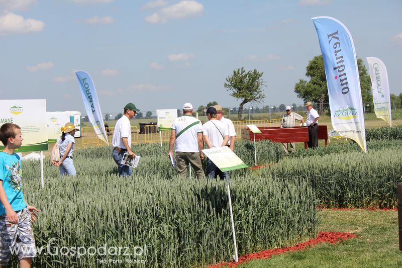 Polskie Zboża 2011 - Sobota