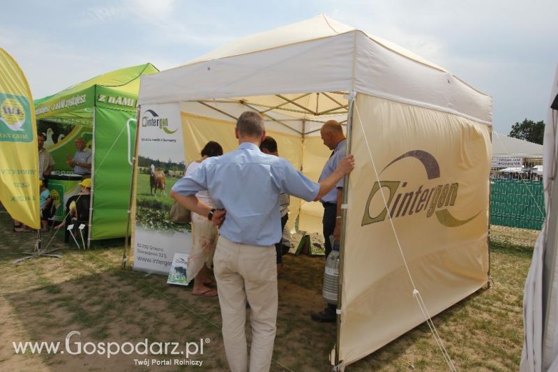 AGRO-TECH Minikowo 2014 - sobota