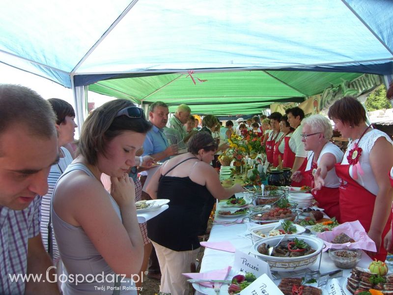 Festiwal Wieprzowiny Targowisko Dolne k/Lubawy 2012