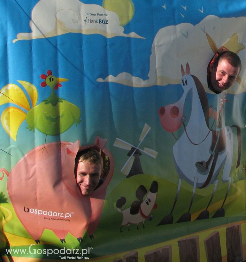 Zdjęcia ze świnką na Agro Show 2012 niedziela