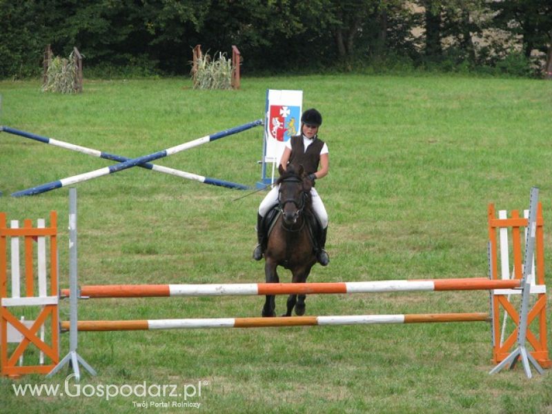 Krajowa Wystawa Ras Rodzimych Rudawka Rymanowska 2012