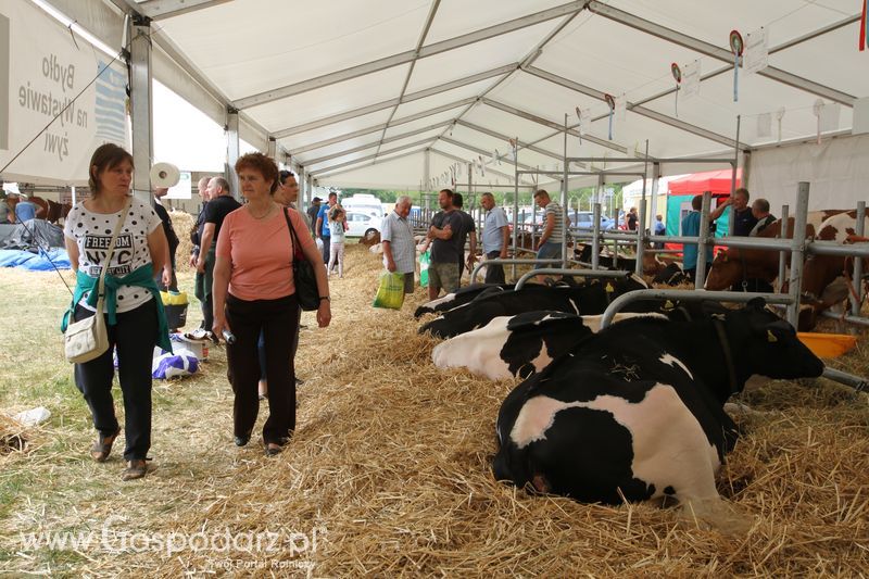 Sobota na Opolagrze 2016 razem z Gospodarz.pl