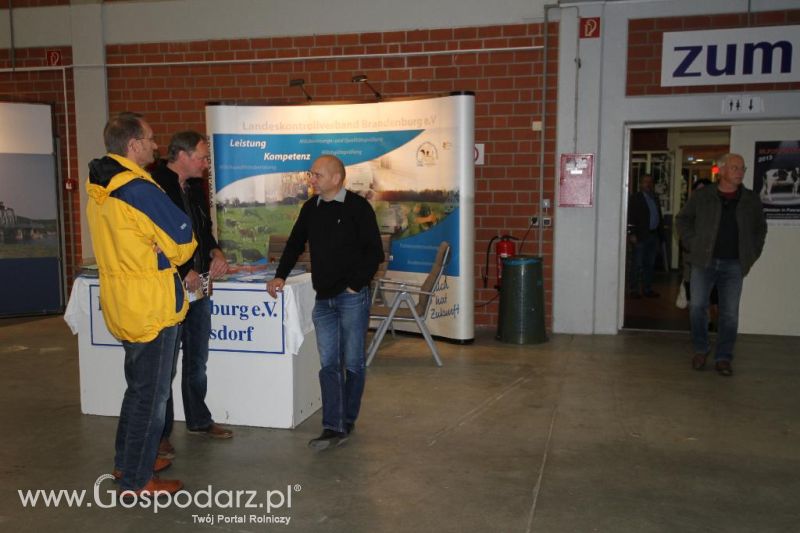 Wystawa  Blickpunkt Rind 2013 w miejscowości Paaren/Glien (Niemcy)