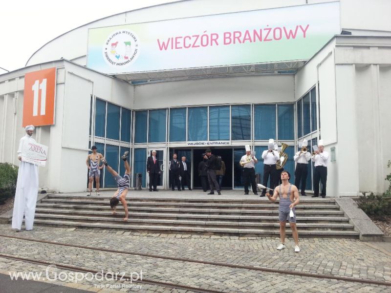 Mięsna Arena 2013 w Poznaniu