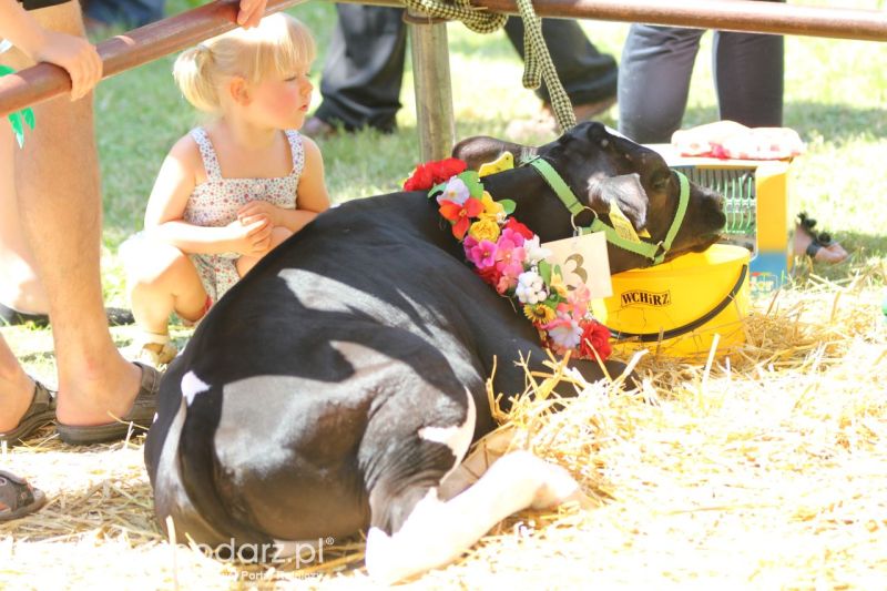 Zielone AGRO SHOW – POLSKIE ZBOŻA 2014 w Sielinku - niedziela