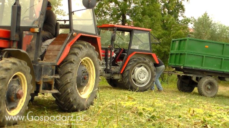 Kiszonka 2013