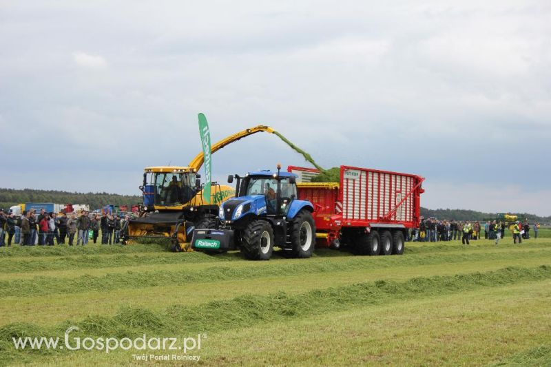 Pokazy maszyn Polskie Zboża Zielone Agro Show 2013