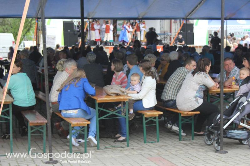 Święto Kaczki w Przygodzicach