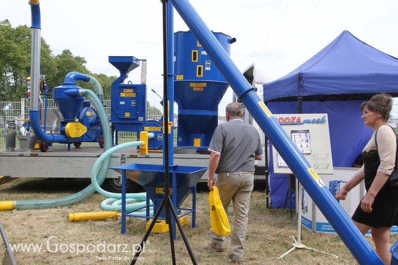 Zielone AGRO SHOW - Polskie Zboża 2015 w Sielinku