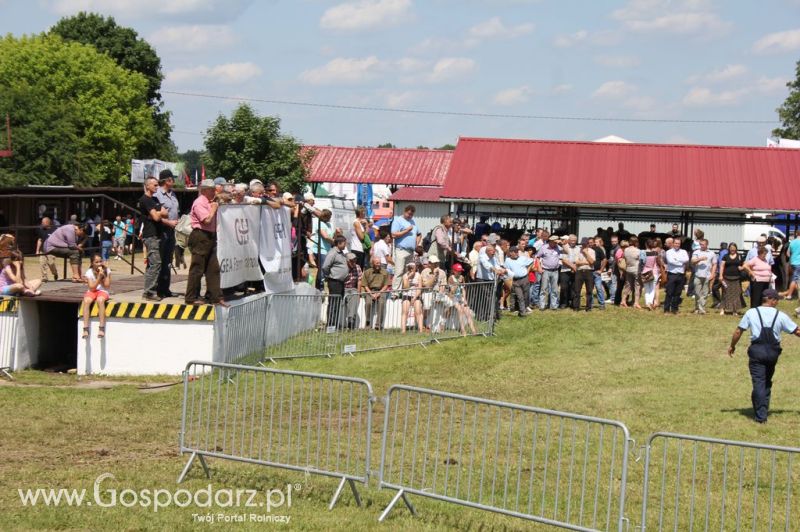 Szepietowo 2012 XIX Regionalna Wystawa Zwierząt Hodowlanych, I Ogólnopolska Wystawa Drobiu oraz Dni z Doradztwem Rolniczym