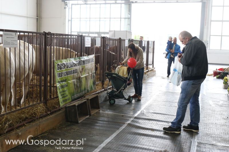 Krajowa Wystawa Zwierząt Hodowlanych w Poznaniu 2017 (sobota, 6 maja)
