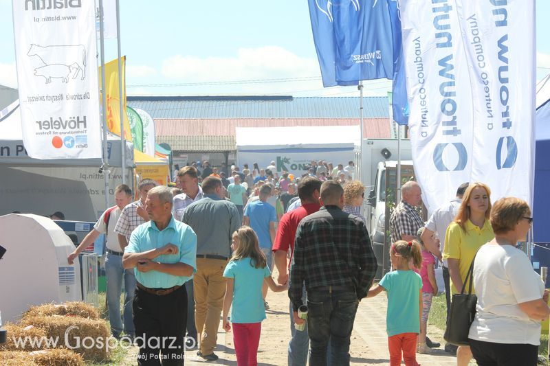 Targi rolne w Szepietowie (27-28.06.2015)