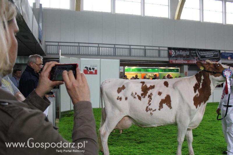 XXVI Krajowa Wystawa Zwierząt Hodowlanych - sobota i niedziela