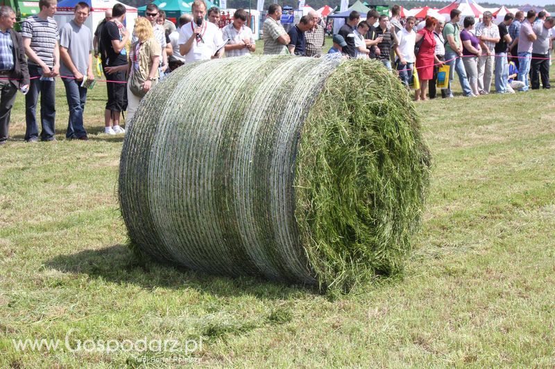 Zielone Agro Show pokaz maszyn rolniczych