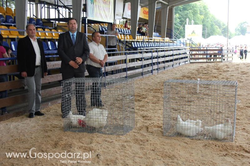 Regionalna Wystawa Zwierząt Hodowlanych i Dni z Doradztwem Rolniczym w Szepietowie-niedziela