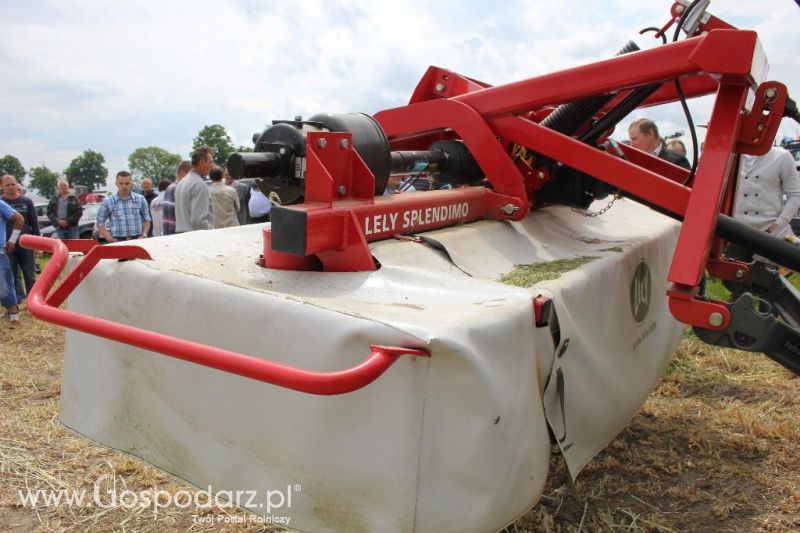 Pokazy polowe Romanów k/Krotoszyna