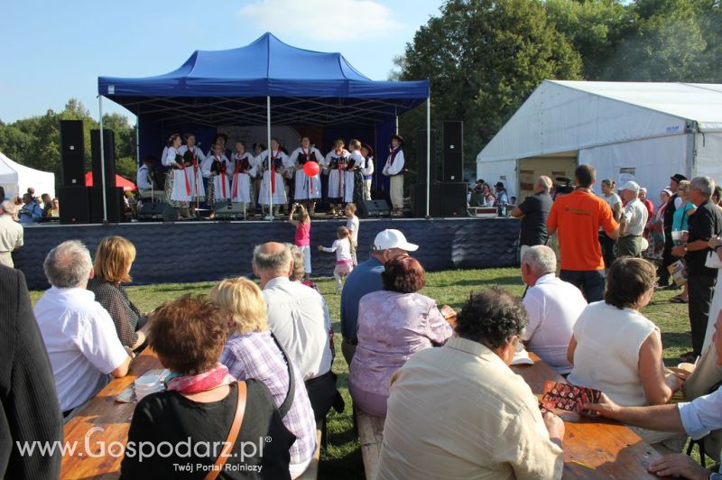 Świętomięs Polski w Chorzowie