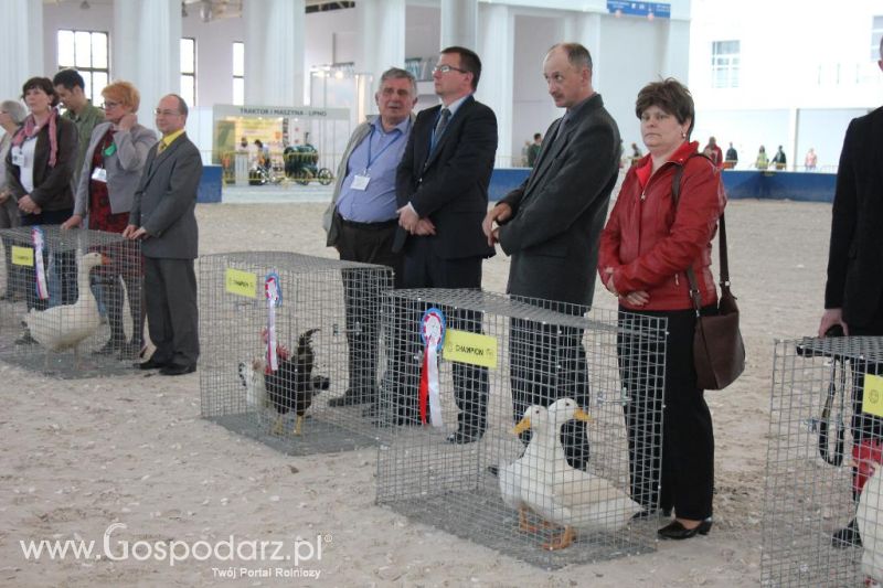 XXVI Krajowa Wystawa Zwierząt Hodowlanych - sobota i niedziela