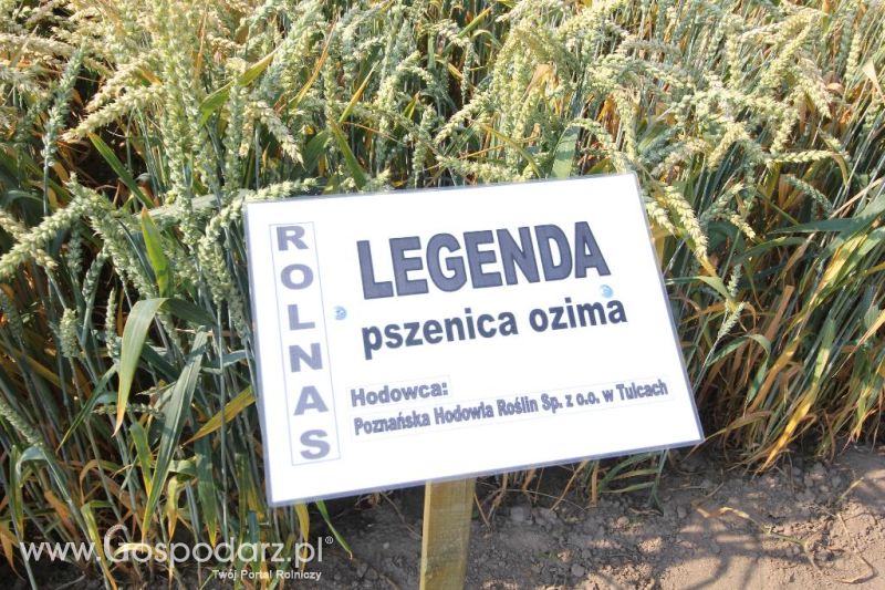 AGRO-TECH Minikowo 2014 - niedziela