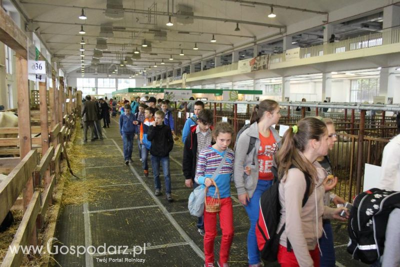 XXVI Krajowa Wystawa Zwierząt Hodowlanych - piątek