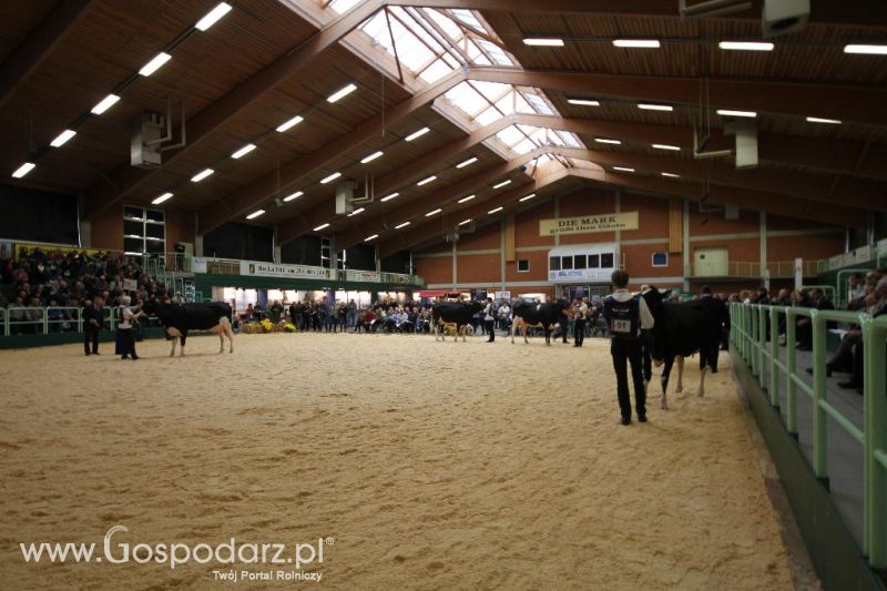 Wystawa  Blickpunkt Rind 2013 w miejscowości Paaren/Glien (Niemcy)