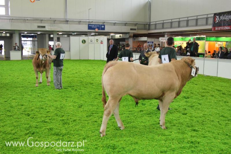 XXVI Krajowa Wystawa Zwierząt Hodowlanych - piątek
