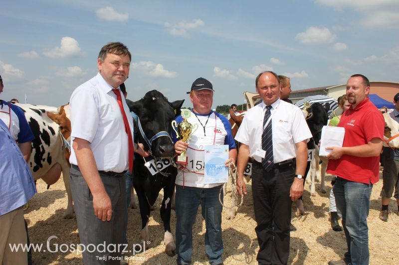 Superchampioni i championi Śląskiej Wystawy Bydła Mlecznego Opolagra 2011