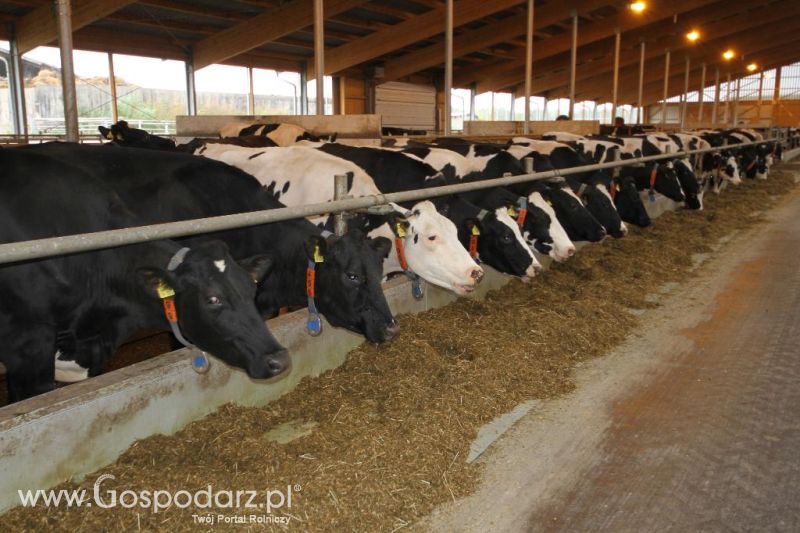 Wyjazd studyjny na farmę Langengrassau w Niemczech