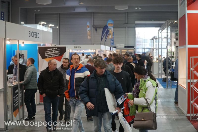 XXXVI Olimpiada Gołębi i Targi Gołębi Pocztowych i Akcesoriów otwarcie - dzień pierwszy