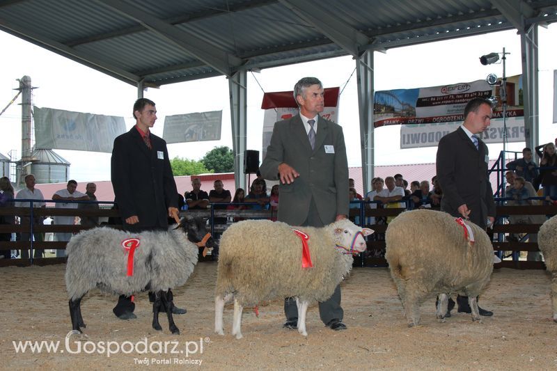 Wręczenie nagród na XVIII Regionalnej Wystawie Zwierząt Hodowlanych w Szepietowie