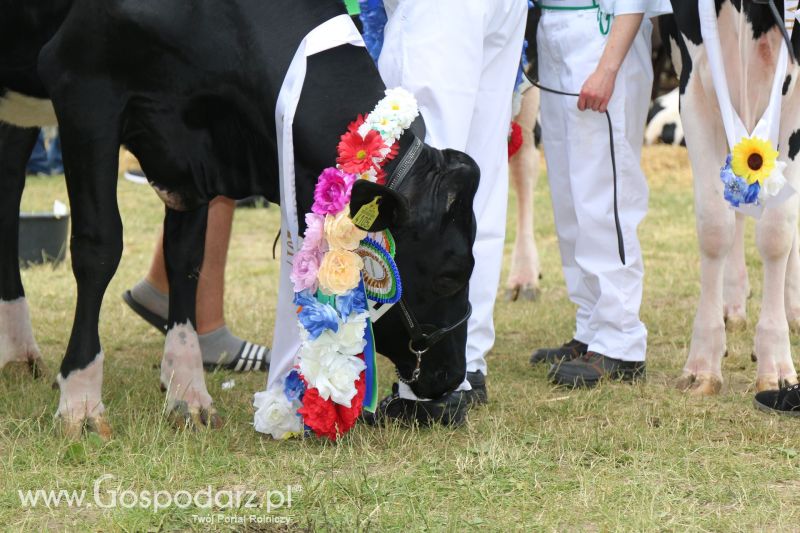 Regionalna Wystawa Zwierząt Hodowlanych i Dni z Doradztwem Rolniczym w Szepietowie 2017 (niedziela)