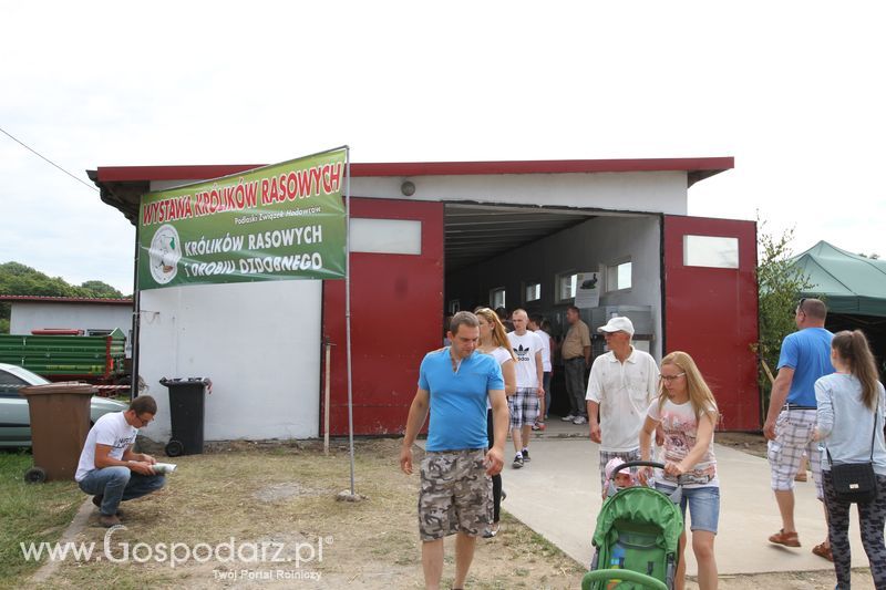 Wystawa zwierząt w Szepietowie