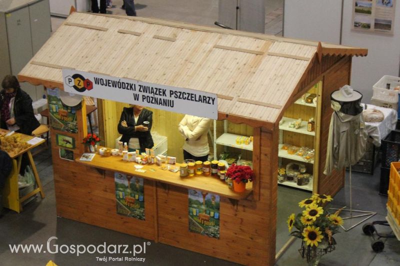 XXVI Krajowa Wystawa Zwierząt Hodowlanych - sobota i niedziela