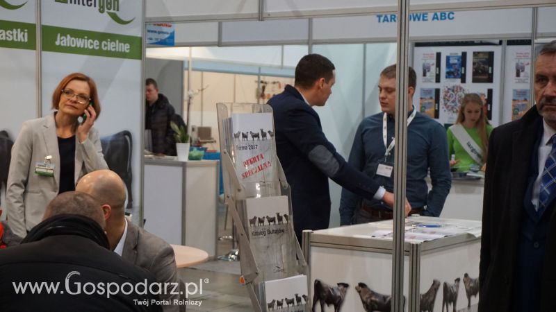 Intergen na łódzkiej Fermie 2017