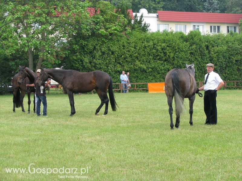 Wystawa Koni Sielinko 2011