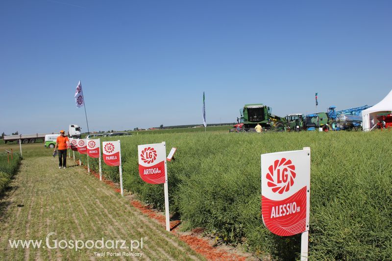 Polskie Zboża 2011 - Piątek 